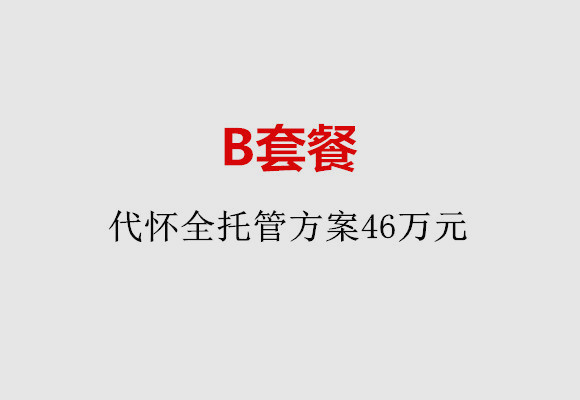 中山B套餐：代怀全托管方案46万元